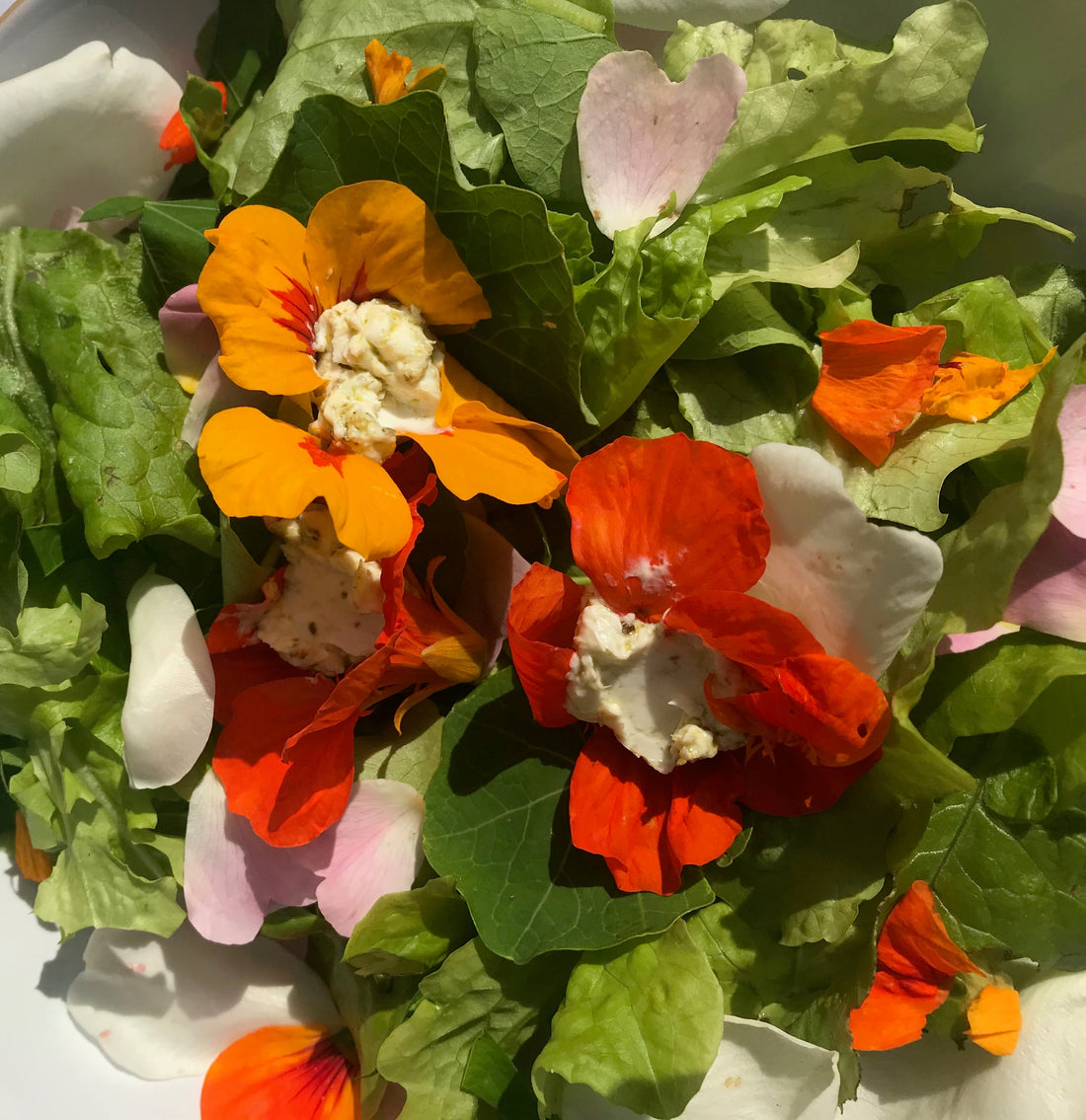 Hvad er en superfood salat?