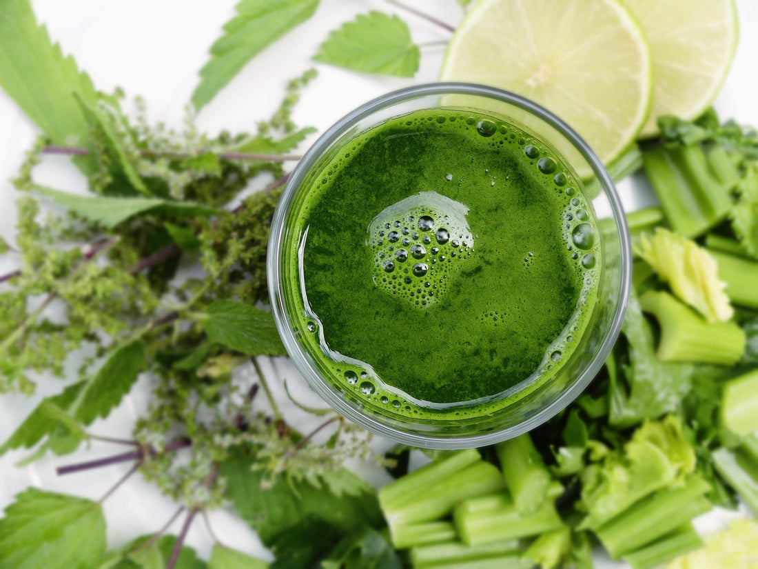 Videnskabelige grunde til detox