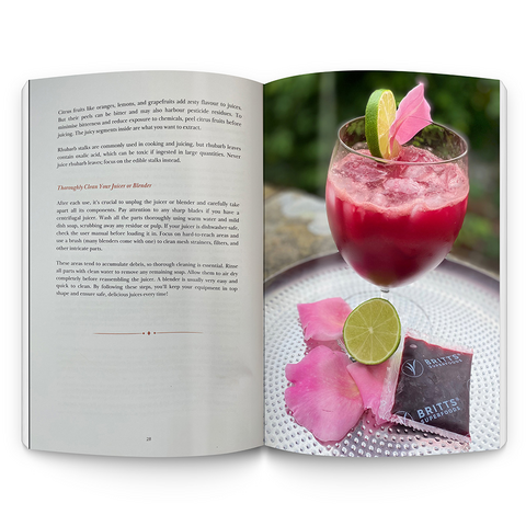 Nurturing Wellbeing - Paper Back Book