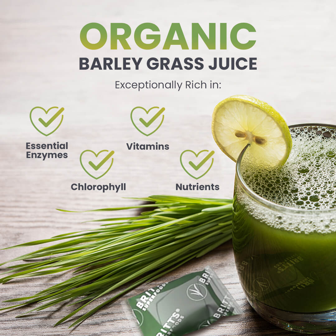 Barley grass juice