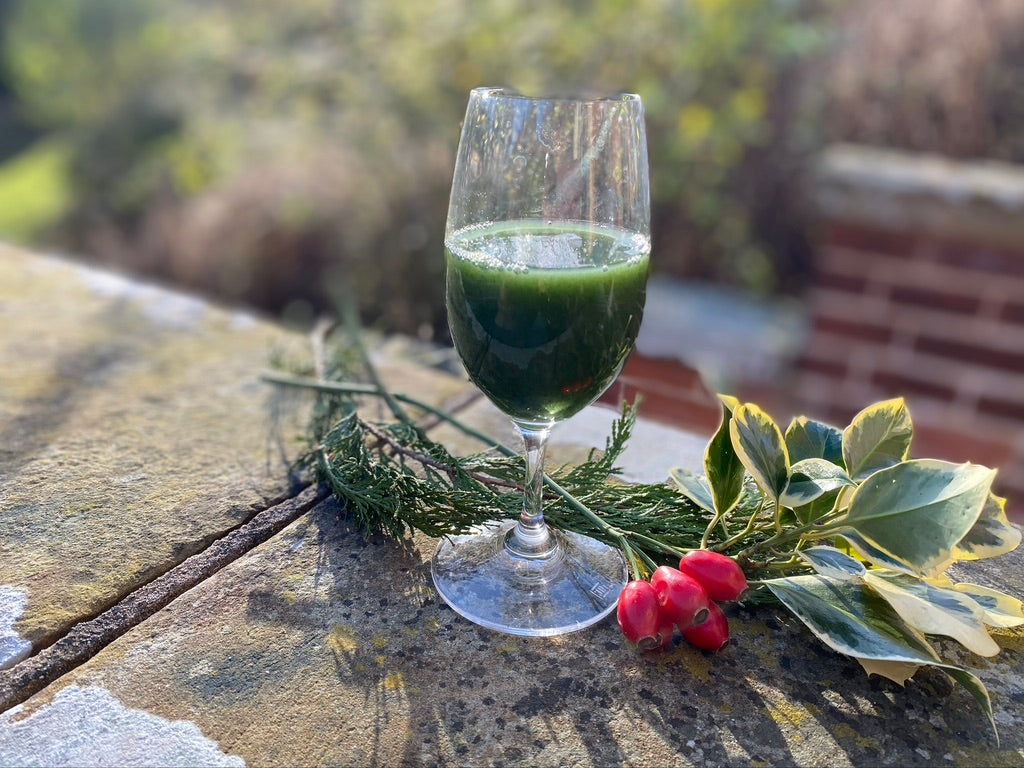 Green Blood Mystique: Unravelling the Enigma of Wheatgrass Juice