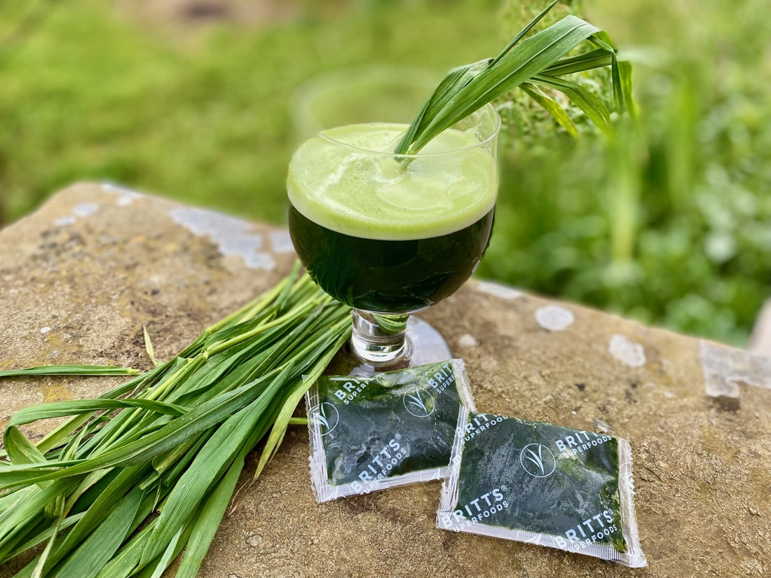 Can Kids Enjoy the Nutritional Benefits of Wheatgrass Juice