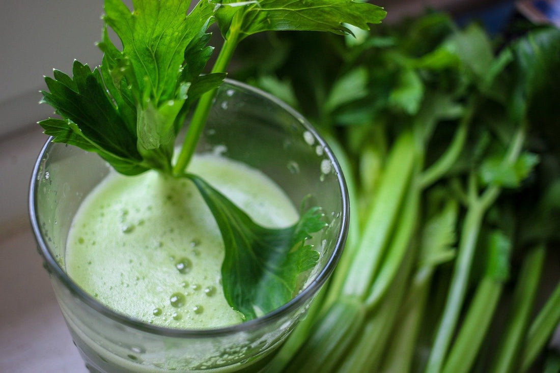 Can Celery Juice Support Your Health? - Britt's Superfoods