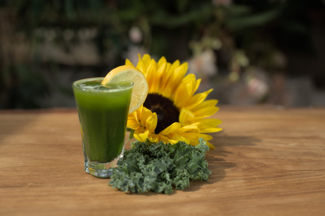 Can wheatgrass juice help with coughs and colds?