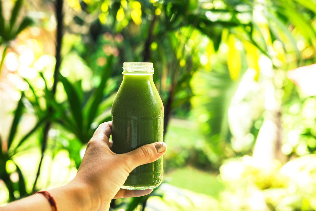Can you drink wheatgrass juice in the summer?