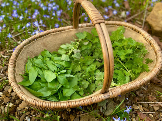 Delicious spring foraging - Britt's Superfoods