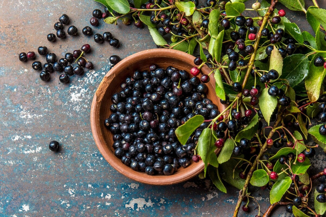 Health benefits of Maqui berry