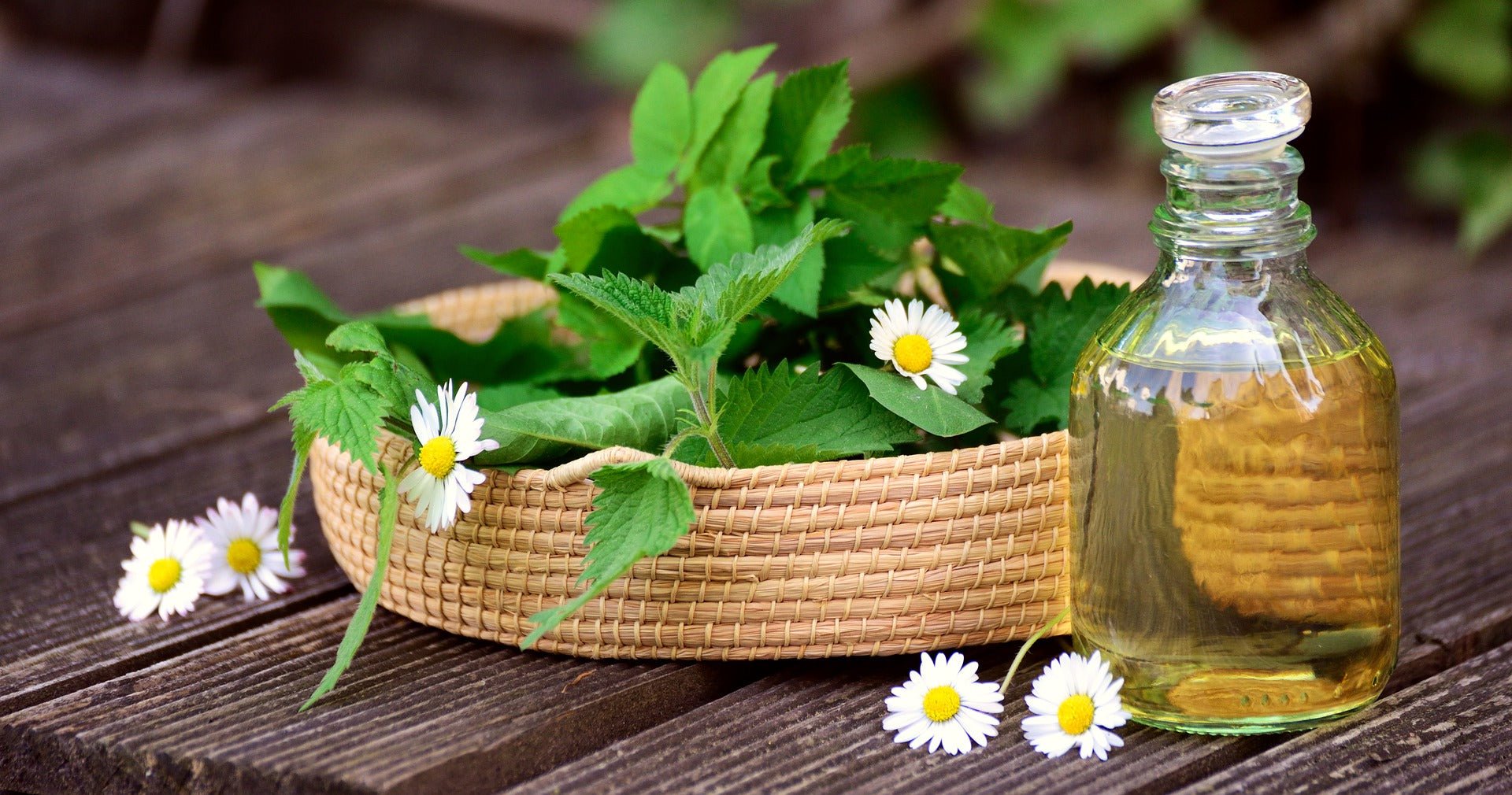 How do I make nettle juice?