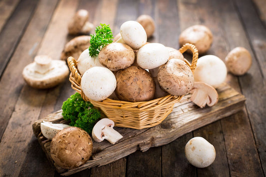 Marvellous Mushrooms - Britt's Superfoods