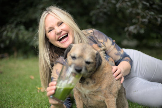 Nurturing Your Dog with Wheatgrass Juice - Britt's Superfoods