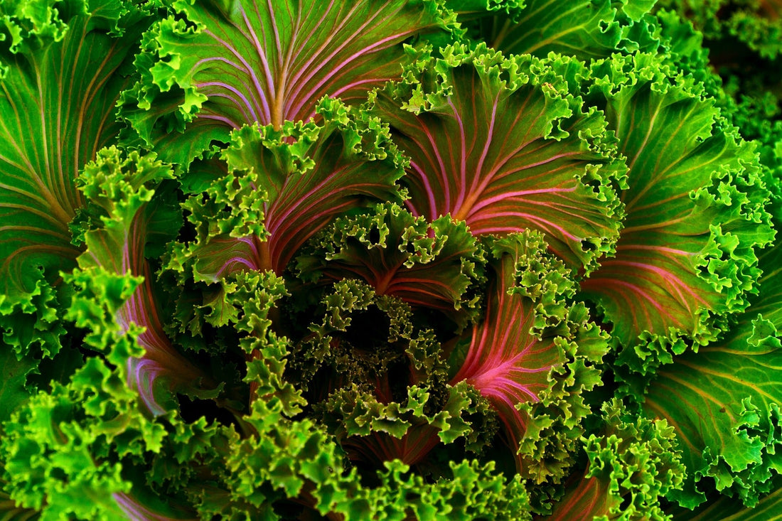 Hvad er fordelene ved grønne bladgrøntsager?