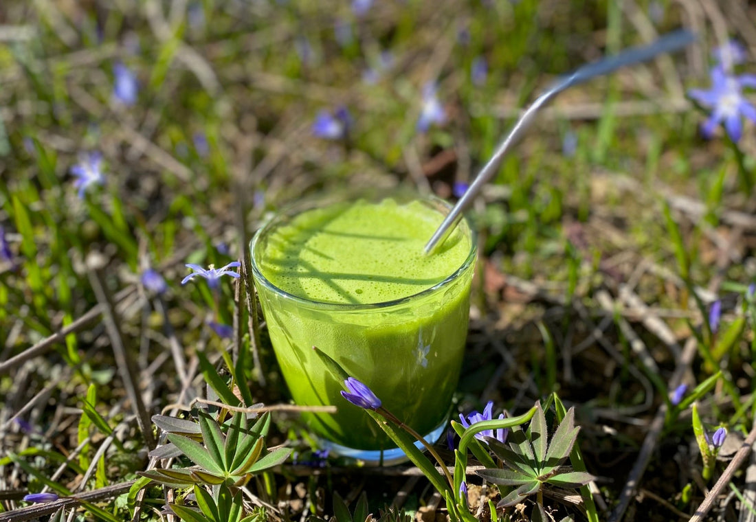 What can I mix wheatgrass juice with? - Britt's Superfoods