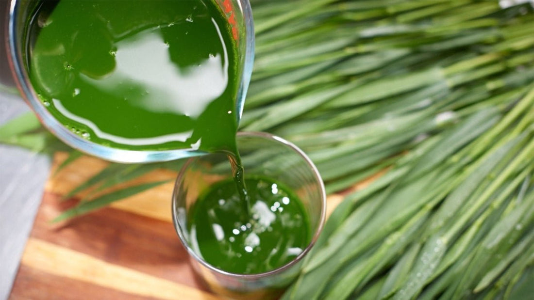 Wheatgrass Juice: A Natural Elixir for Radiant Complexion - Britt's Superfoods